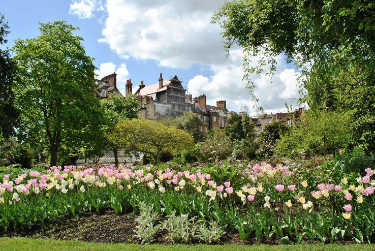 Chelsea Physic Garden Trip Packages