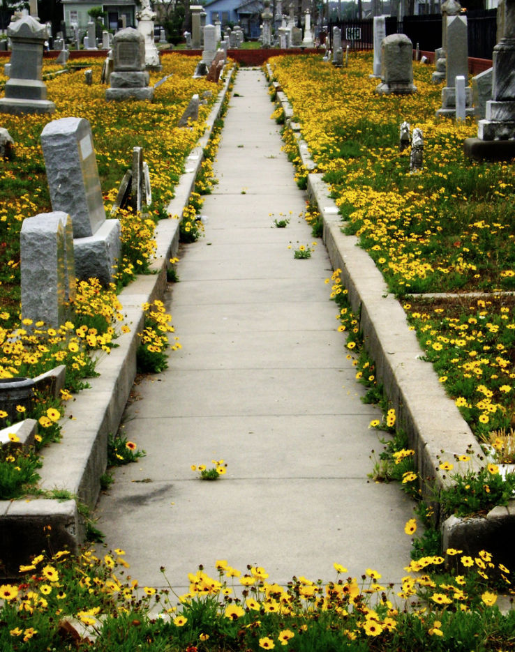 Evergreen Cemetery Trip Packages