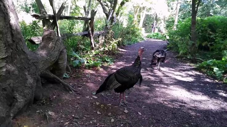 Lynde Shores Conservation Area Trip Packages