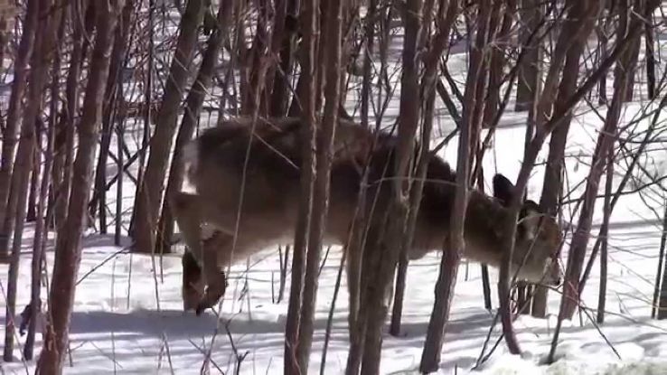 Lynde Shores Conservation Area Trip Packages