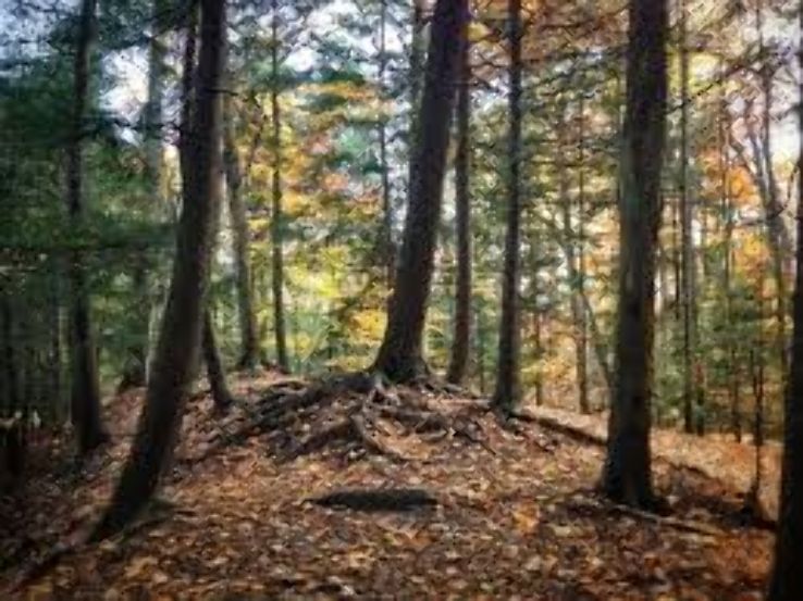 Greenwood Conservation Area Trip Packages