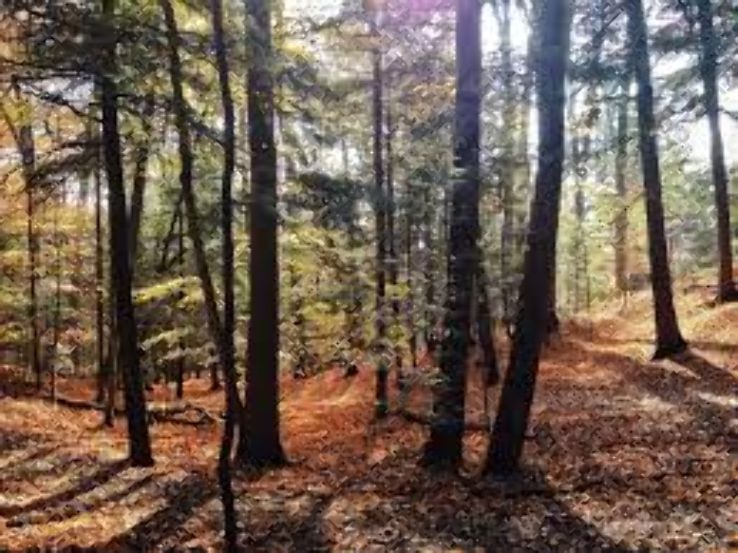 Greenwood Conservation Area Trip Packages