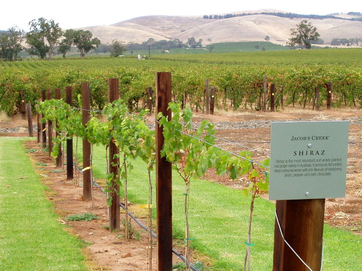 Barossa Valley Trip Packages
