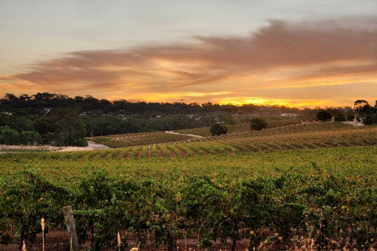 Clare Valley Trip Packages