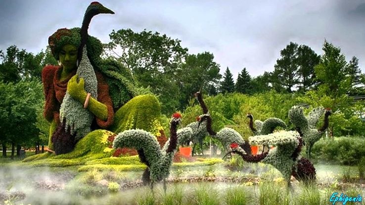 Montreal Botanical Garden Trip Packages