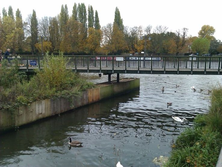 The Hogsmill River Trip Packages