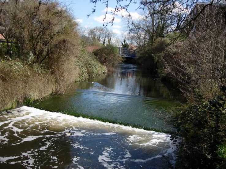 The Hogsmill River Trip Packages