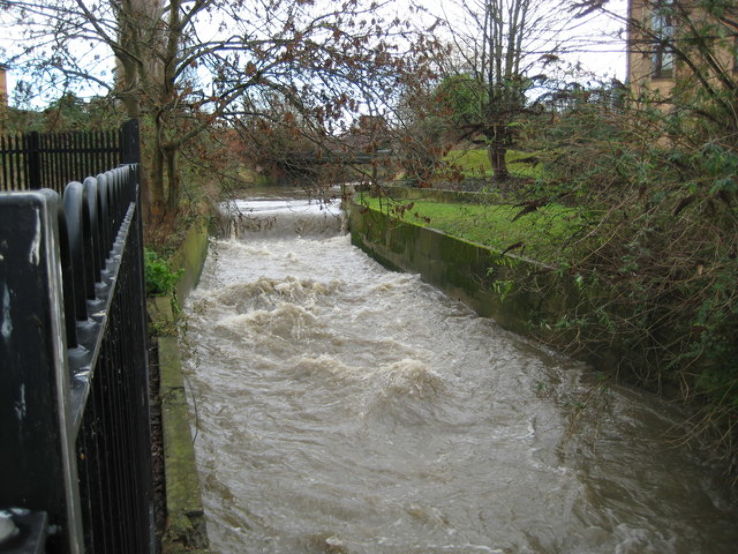 The Hogsmill River Trip Packages