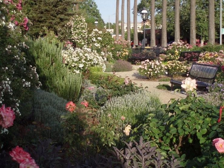 Woodland Public Library and Rose Garden Trip Packages