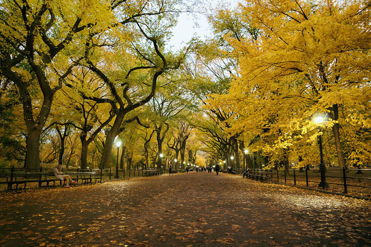 The Central Park of Central New York Trip Packages