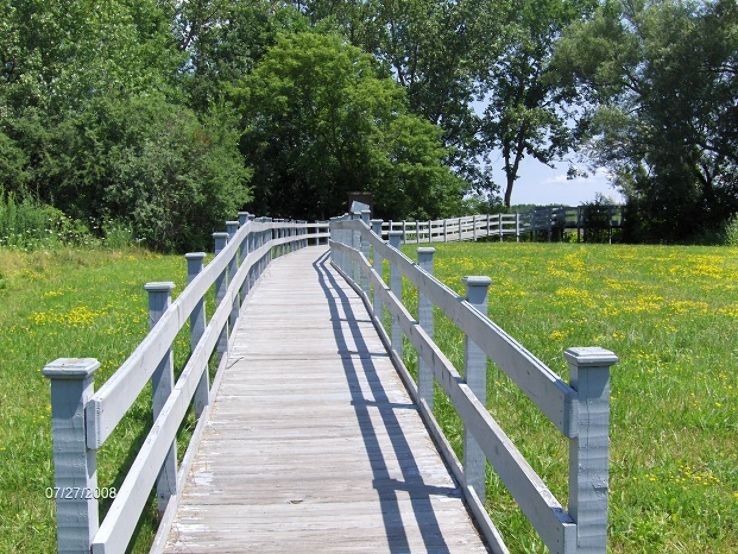 Hamlin Marsh Trip Packages