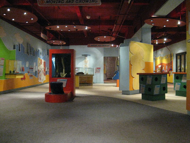 Thackray Medical Museum Trip Packages