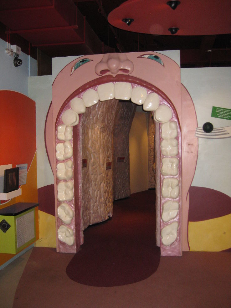 Thackray Medical Museum Trip Packages