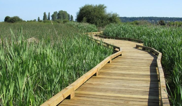 Centennial Beach Trip Packages