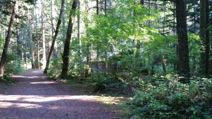 North Delta Watershed Park Trip Packages