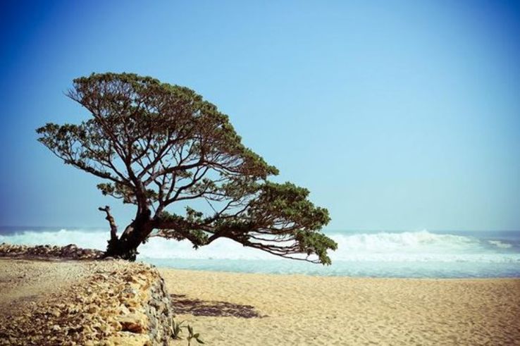 Pok Tunggal Beach Trip Packages