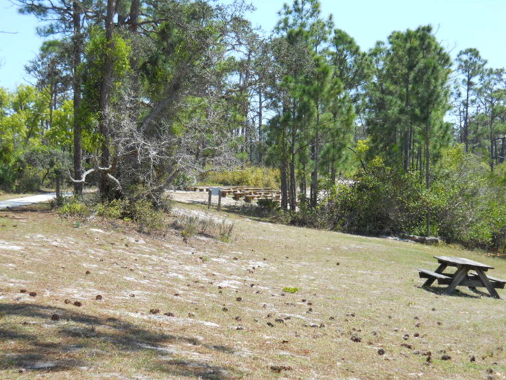 Jonathan Dickinson State Park Trip Packages