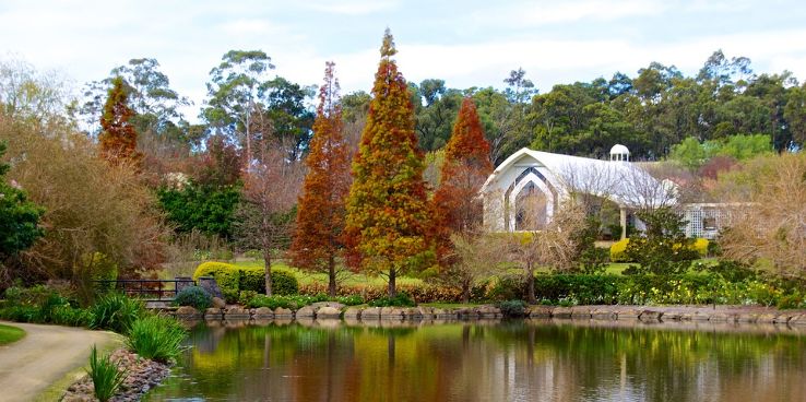 Hunter Valley Trip Packages Hunter Valley Trip Packages