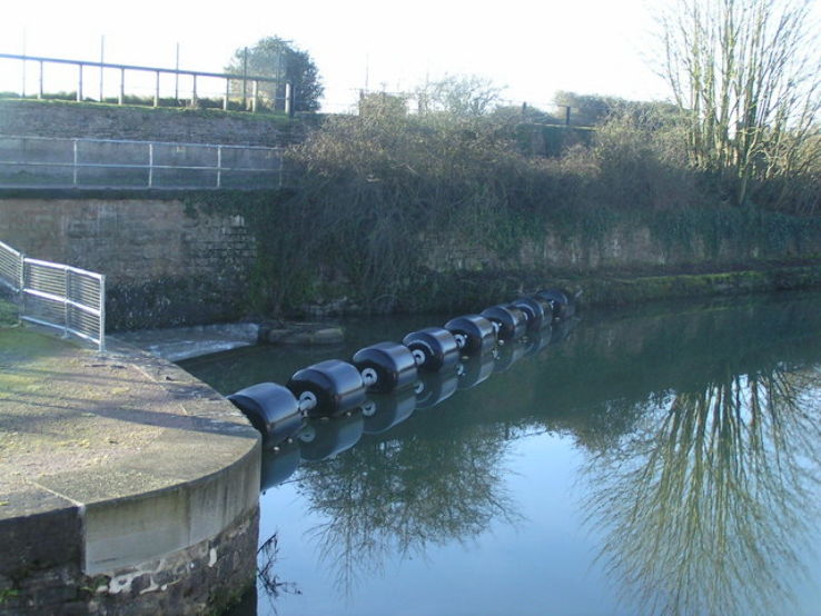 Lydney Harbour Trip Packages