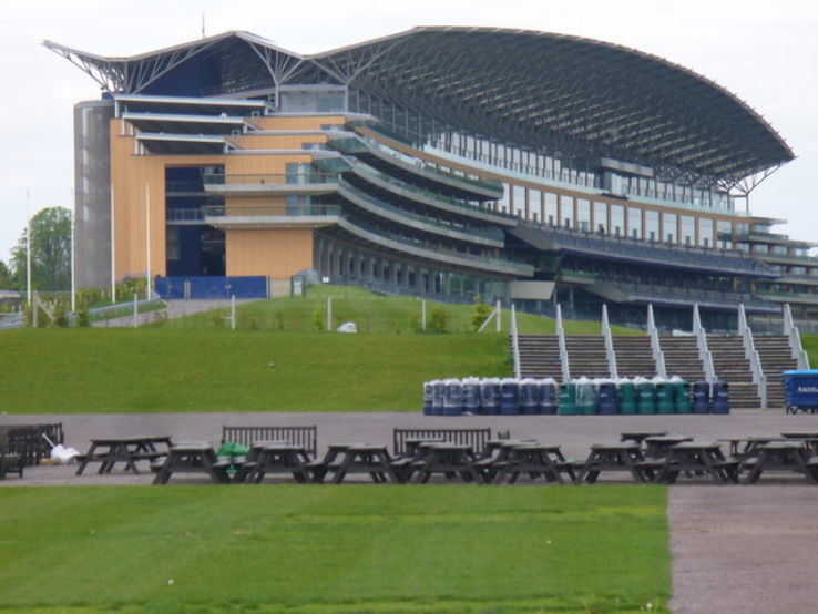 Ascot Racecourse Trip Packages