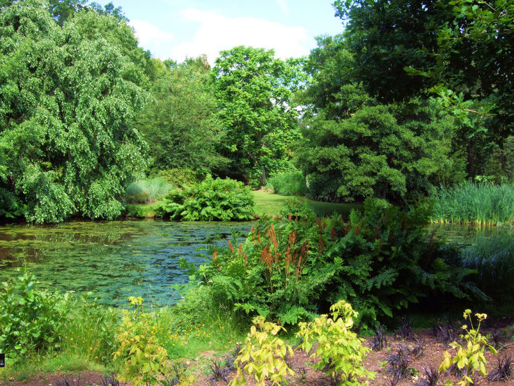 The Savill Garden Trip Packages