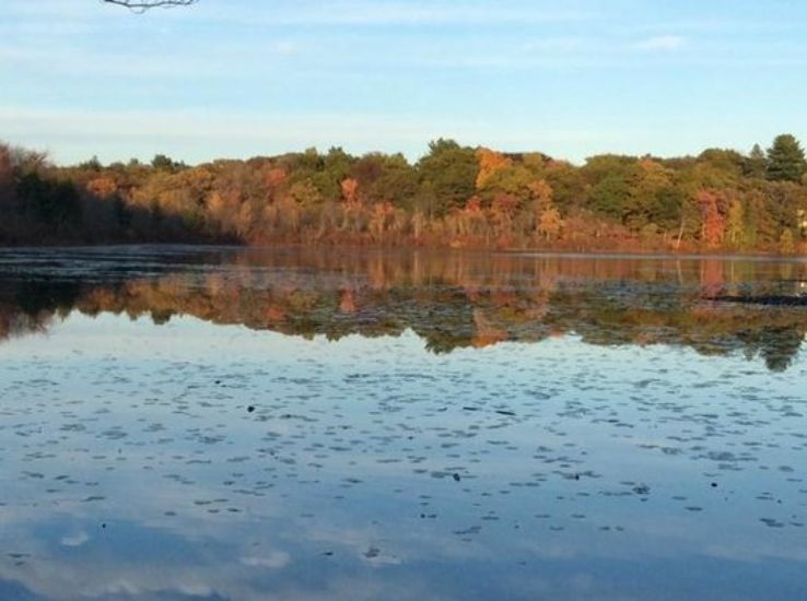 Hammond Pond Reservation Trip Packages