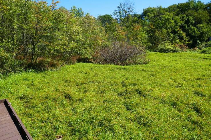 Dolan Pond conservation area  Trip Packages