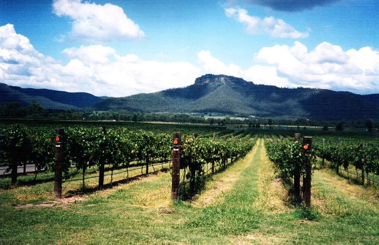 Hunter Region winemaking Trip Packages