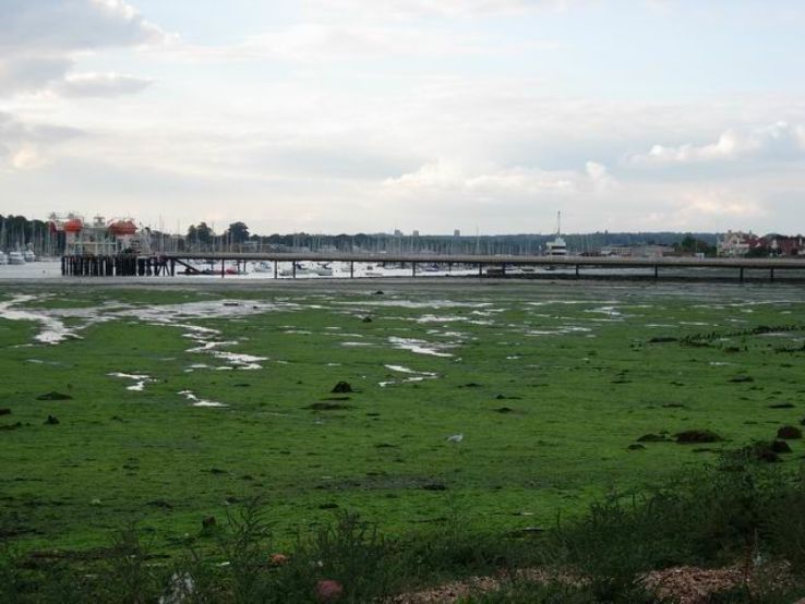 River Hamble Trip Packages