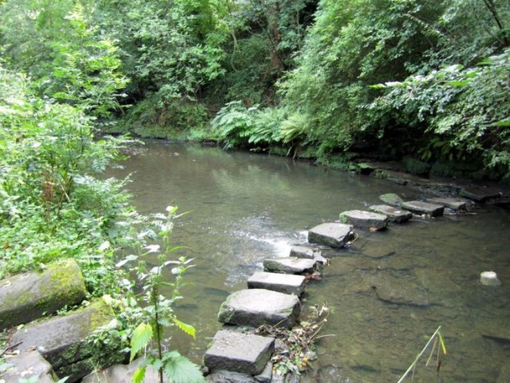 Jesmond Dene Park Trip Packages