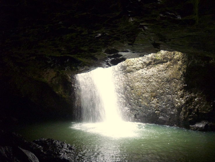 Springbrook National Park Trip Packages