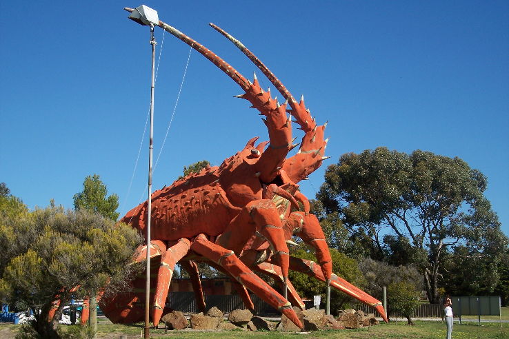 The Big Lobster Trip Packages