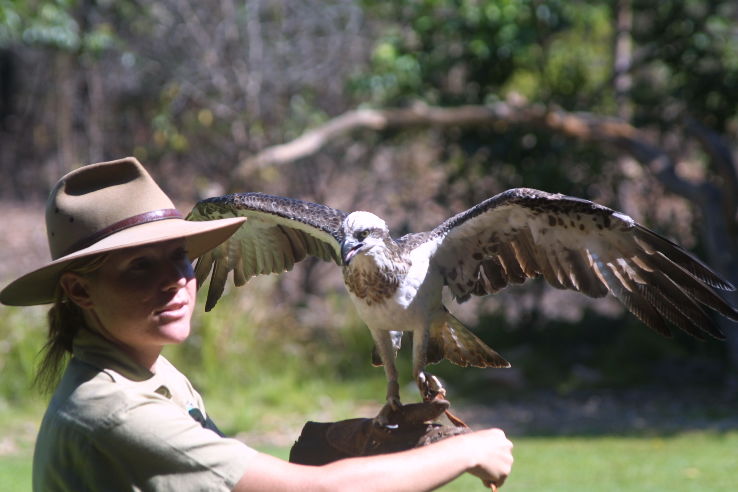 Territory Wildlife Park Trip Packages