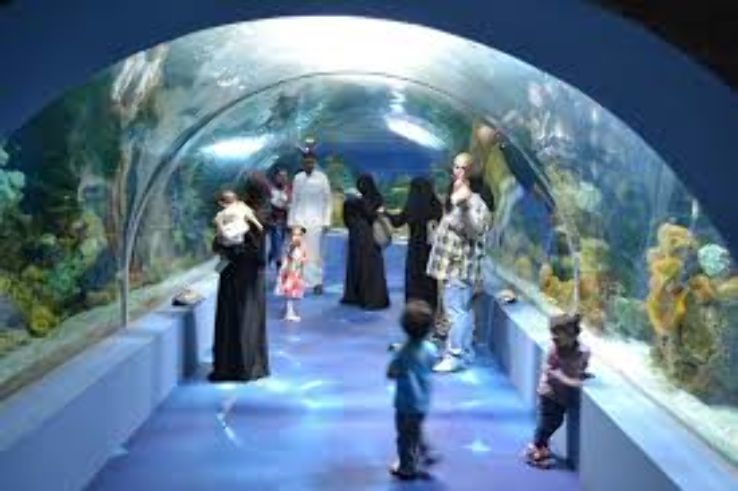 Fakieh Aquarium Trip Packages