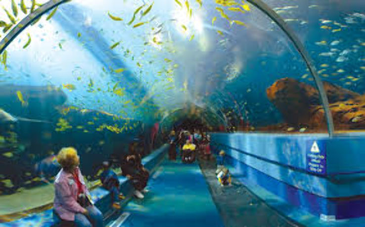 Fakieh Aquarium Trip Packages