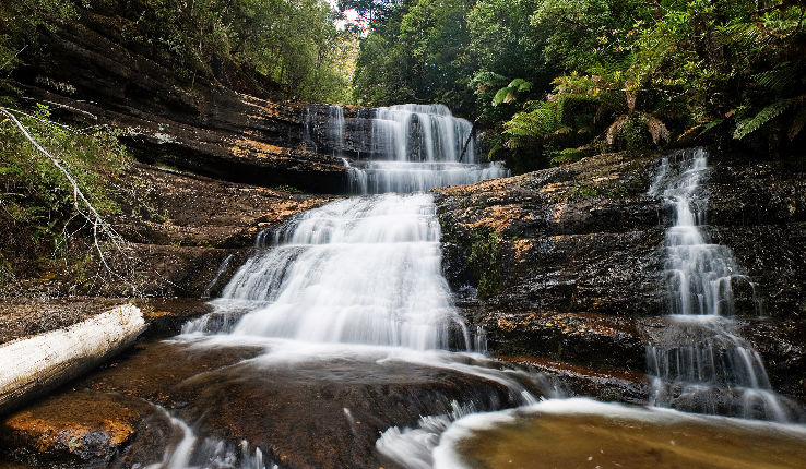 Mount Field National Park Trip Packages