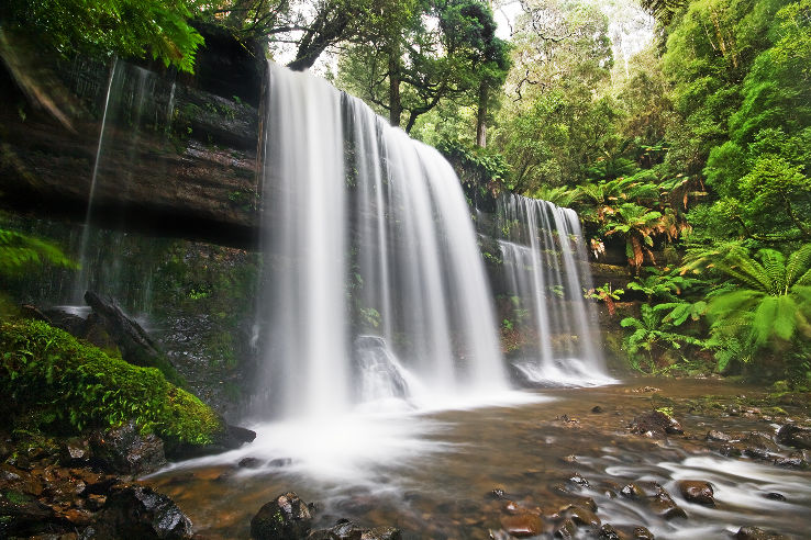 Mount Field National Park Trip Packages
