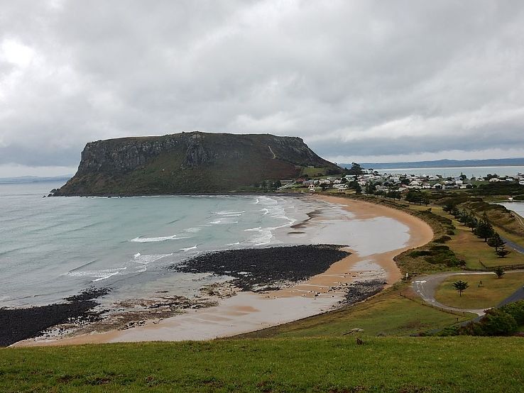 The Nut Trip Packages