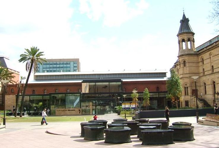 South Australian Museum Trip Packages