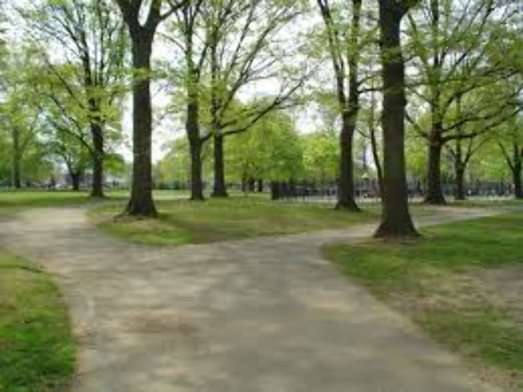 Prince Abdulmohsin Bin Jalawi Park Trip Packages