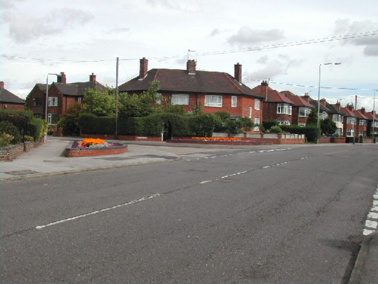 Bakersfield Trip Packages