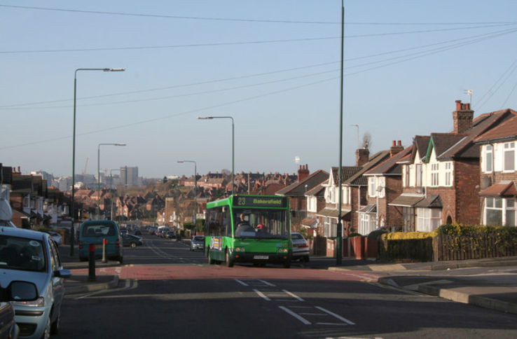 Bakersfield Trip Packages