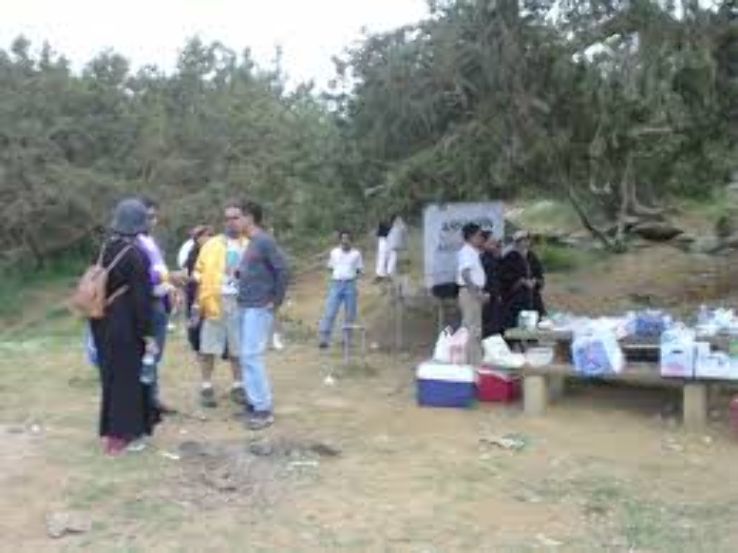  Al Salam Park Trip Packages