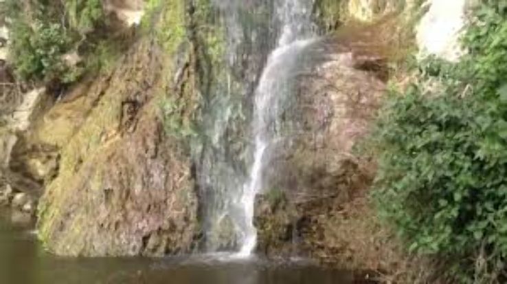 Waterfall Park Trip Packages