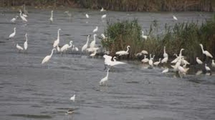 Mai Po Marshes Trip Packages