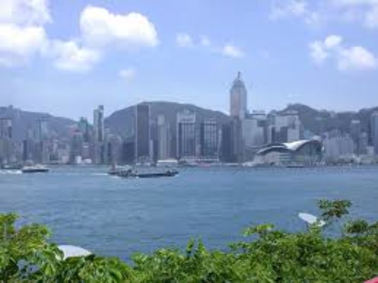 Kowloon Bay Trip Packages