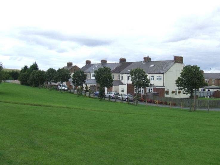 Herrington Country Park Trip Packages