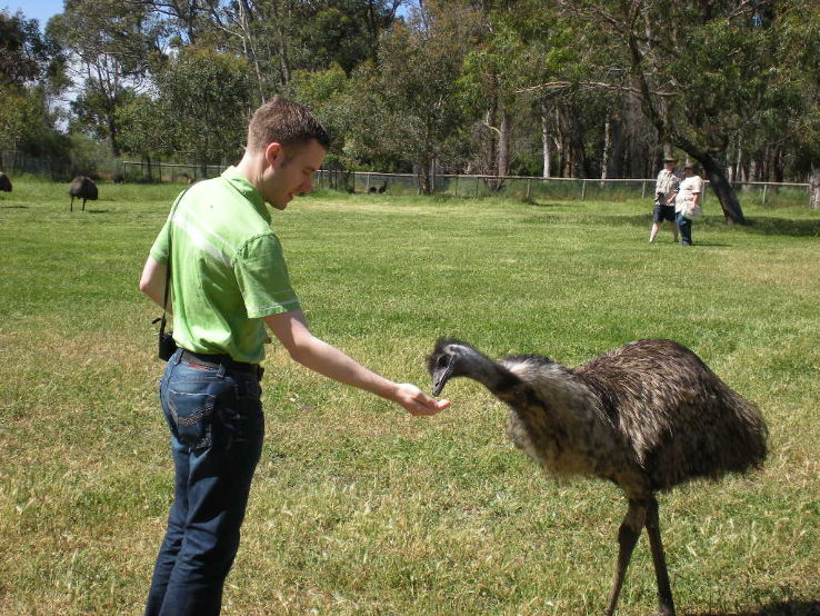 Cleland Wildlife Park Trip Packages