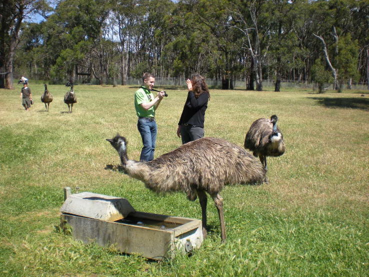 Cleland Wildlife Park Trip Packages