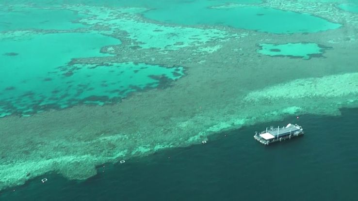 Reefworld Trip Packages